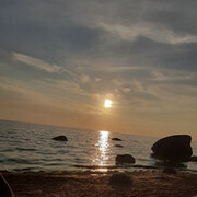 ���������� �������� ���, ���� ������� ������, 29 ���, ������������ ��� ����� � ���������, c�������� ���������