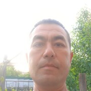 ���������� �����, ���� ������� Lion, 41 ���, ������������ ��� ������, ����� � ���������