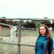 ,   , 29 ,  