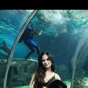  ,   , 26 ,  