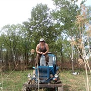  ,   , 43 ,   