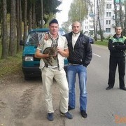  ,   , 36 ,   