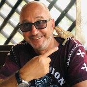 ���������� ������, ���� ������� ���  ���, 52 ����, ������������ ��� ������, ����� � ���������