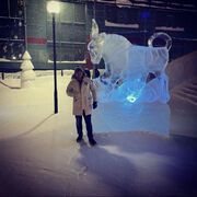 ���������� ������������, ���� ������� ���, 36 ���, ������������ ��� ���������