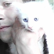 ���������� �������, ���� ������� ����, 36 ���, ������������ ��� ������