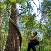 ���������� ������������, ���� ������� ����, 27 ���, ������������ ��� ������, ����� � ���������, c�������� ���������