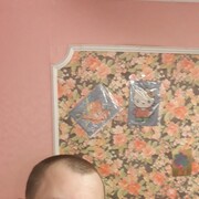  ,   , 38 ,     , c 