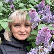  ,   , 50 ,   ,   , 