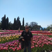  ,   , 65 ,   ,   , c 