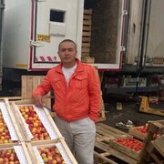  ,   SHAMIL, 43 ,   ,   