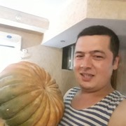 ���������� �������, ���� ������� �������, 37 ���, ������������ ��� ������