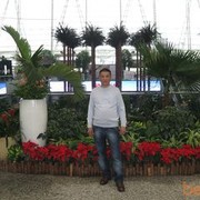  ,   , 55 ,  