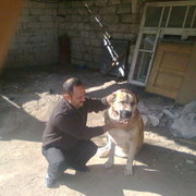 ���������� ����, ���� ������� Ilqar, 51 ���, ������������ ��� ������