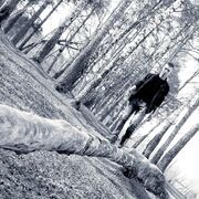 ���������� ������������, ���� ������� ����, 27 ���, ������������ ��� ������, ����� � ���������