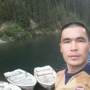  ,   Roma, 41 ,   ,   , c 