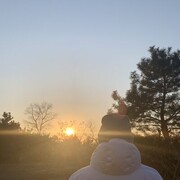 ���������� ��������������, ���� ������� �����, 47 ���, ������������ ��� ������