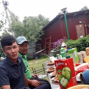  ,   , 33 ,  