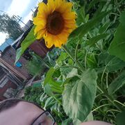  ,   , 35 ,     , c 