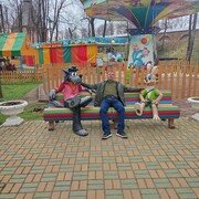  ,   , 37 ,   ,   