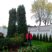 ���������� �����, ���� ������� ��������, 48 ���, ������������ ��� ������