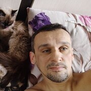 ���������� ������, ���� ������� ���������, 43 ����, ������������ ��� ����� � ���������, c�������� ���������