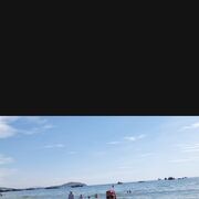 ���������� ��������, ���� ������� ������, 48 ���, ������������ ��� ������, ����� � ���������