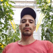 ���������� ���������, ���� ������� ������, 33 ����, ������������ ��� ������, ����� � ���������, c�������� ���������