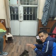 ���������� �������, ���� ������� ������, 36 ���, ������������ ��� ����� � ���������, c�������� ���������