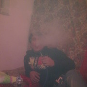 ���������� �������, ���� ������� Sardor, 35 ���, ������������ ��� ������, ����� � ���������, c�������� ���������