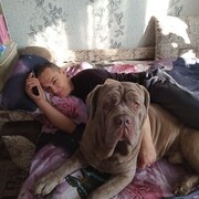  ,   , 46 ,   ,   