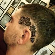 ���������� ���������, ���� ������� ��������, 37 ���, ������������ ��� ������, ����� � ���������