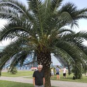  ,   , 64 ,   c 