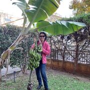 ���������� ��������, ���� ������� �������, 47 ���, ������������ ��� ������, c�������� ���������