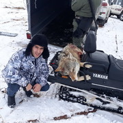 ���������� �������, ���� ������� �����, 33 ����, ������������ ��� ������, ����� � ���������, c�������� ���������