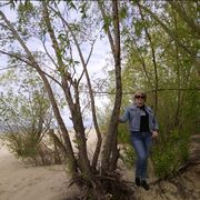 ���������� ���, ���� ������� �����, 40 ���, ������������ ��� ����� � ���������, c�������� ���������