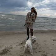  ,   , 43 ,   ,   , c , 