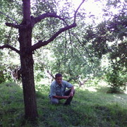 ���������� ������, ���� ������� �����, 47 ���, ������������ ��� ������, ����� � ���������, c�������� ���������