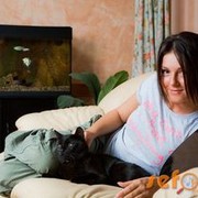 ���������� ������, ���� ������� ����, 35 ���, ������������ ��� ����� � ���������, c�������� ���������