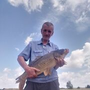  ,   , 52 ,   ,   