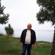  ,   Elman, 66 ,   