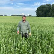 ���������� �����������, ���� ������� ���������, 40 ���, ������������ ��� ������, ����� � ���������