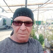  ,  , 53