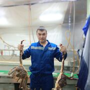 ���������� �����������, ���� ������� ������, 31 ���, ������������ ��� ������, ����� � ���������, c�������� ���������, ���������