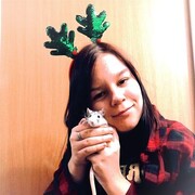  ,   , 21 ,   ,   , 