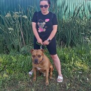  -,   , 35 ,   ,   , c , 