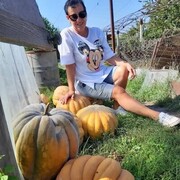  ,   , 61 ,   ,   , 