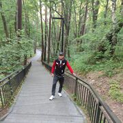 ���������� ��, ���� ������� OLLOYOR, 27 ���, ������������ ��� ������, ����� � ���������