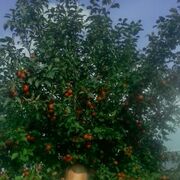  ,   , 39 ,   ,   , c , 