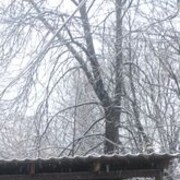 ���������� �����������, ���� ������� Revan, 28 ���, ������������ ��� ������, ����� � ���������