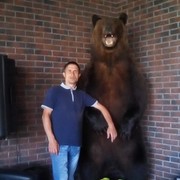 ���������� ������, ���� ������� ���������, 38 ���, ������������ ��� ������, ����� � ���������, c�������� ���������